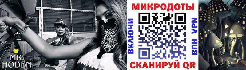 как найти закладки  Буй  Галлюциногенные грибы Magic Shrooms 